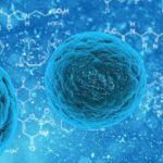 enfermedades infecciosas