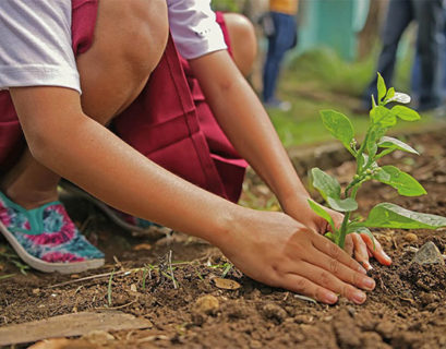 personas desplazadas