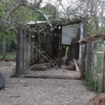 construir un nuevo futuro