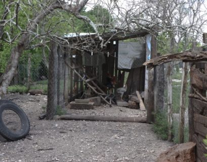 construir un nuevo futuro