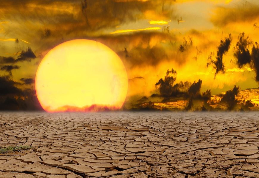 El año más caliente y el cambio climático