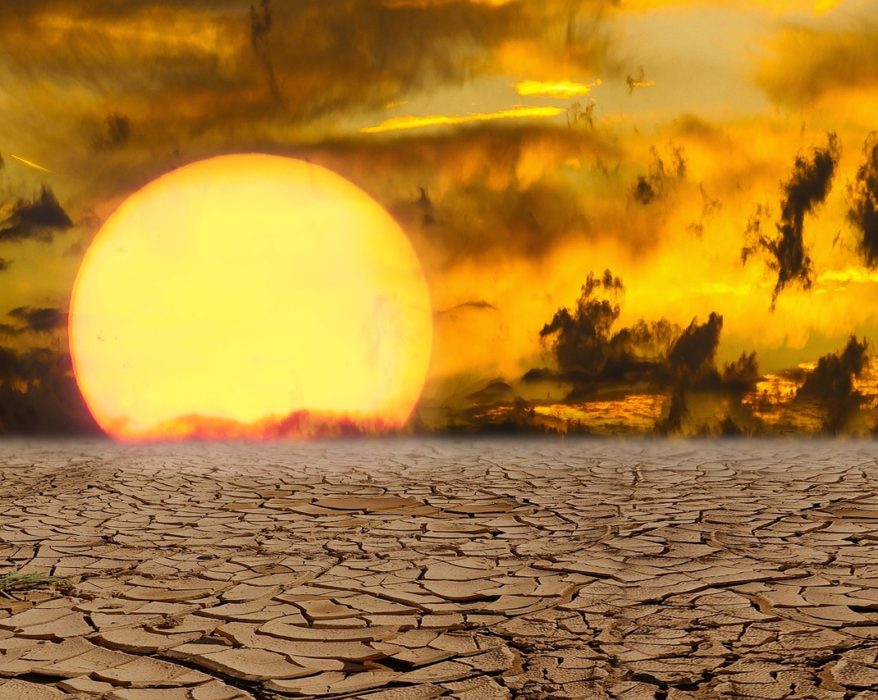 El año más caliente y el cambio climático