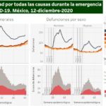 Exceso de Mortalidad en México 2020