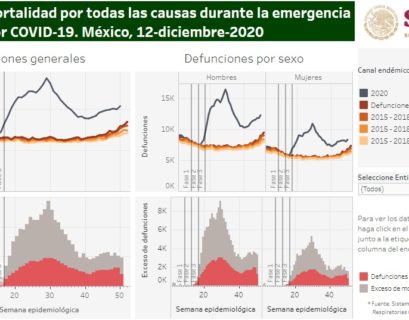 Exceso de Mortalidad en México 2020