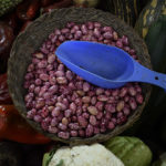 producción de alimentos