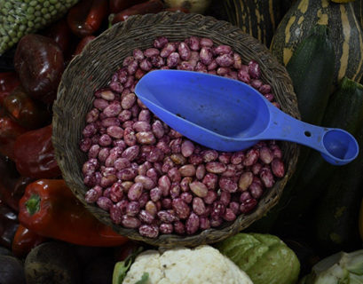 producción de alimentos