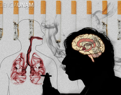 Imagen tomada de Ciencia UNAM