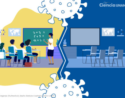 Imagen tomada de ciencia unam