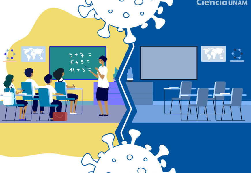 Imagen tomada de ciencia unam