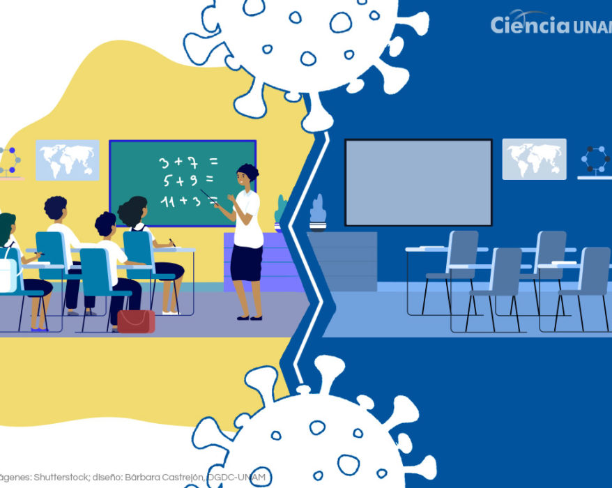 Imagen tomada de ciencia unam