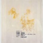 El desnudo en el arte