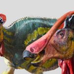 Imagen tomada de Gaceta UNAM