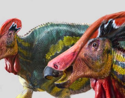 Imagen tomada de Gaceta UNAM