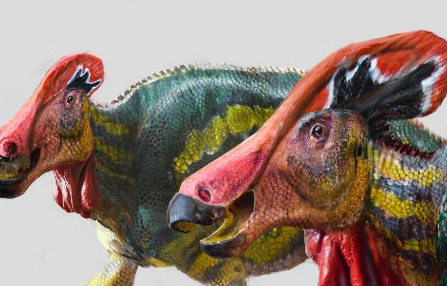 Encuentran fósil de dinosaurio en Coahuila