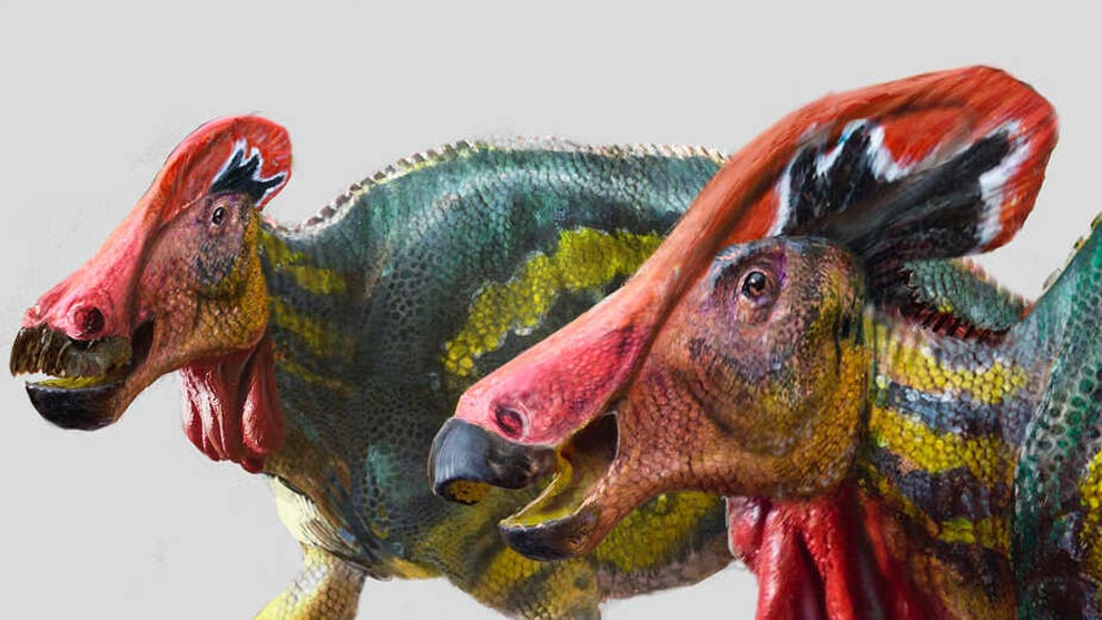 Encuentran fósil de dinosaurio en Coahuila