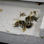 Fuente: Getty Images