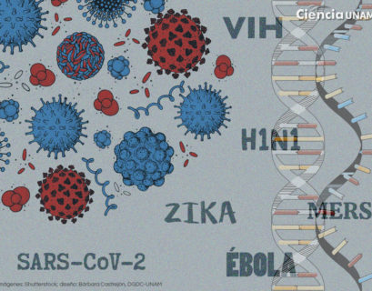 Imagen tomada de Ciencia UNAM con fines estrictamente académicos
