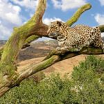 El desafío ambiental de México