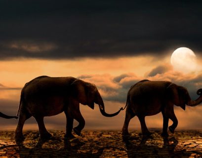 Buenas noticias Kilksberg