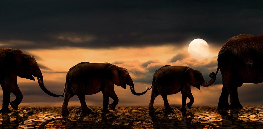 Buenas noticias Kilksberg