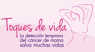 Lo que dice el informe