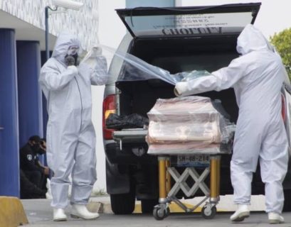 Magnitud de la mortalidad