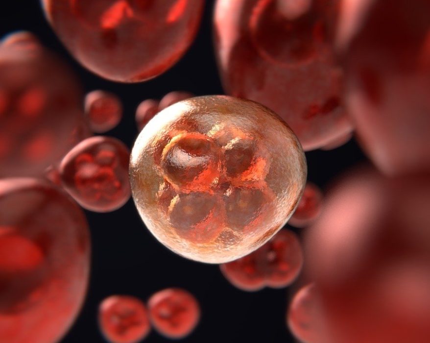 Los tumores malignos