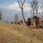 Hablemos del desarrollo