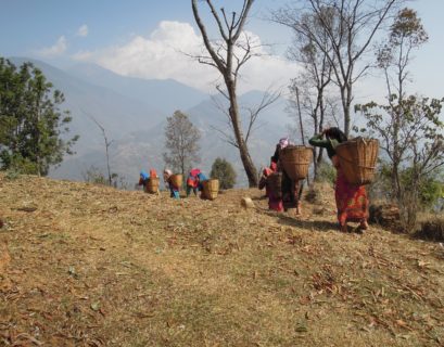 Hablemos del desarrollo