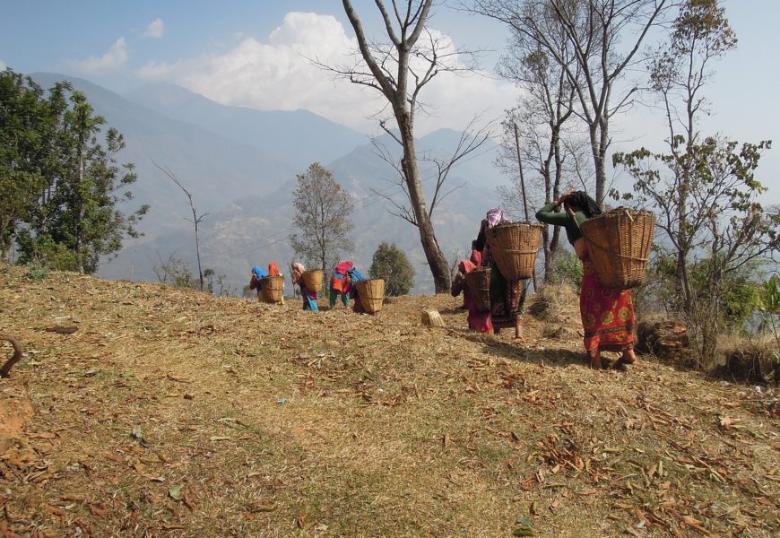 Hablemos del desarrollo