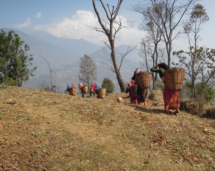 Hablemos del desarrollo