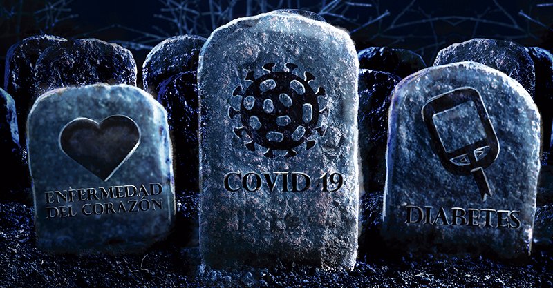 Panorama de la mortalidad