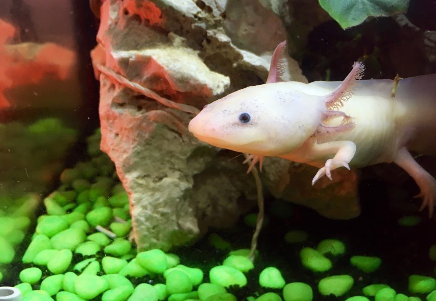 Conferencia sobre cambio climático