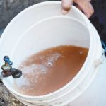 La importancia del agua