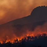 Incendios forestales