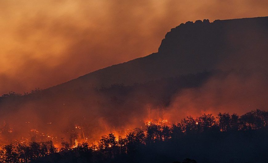 Incendios forestales