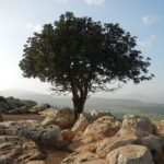 Día de la Tierra - Nasa