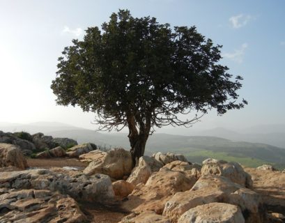 Día de la Tierra - Nasa