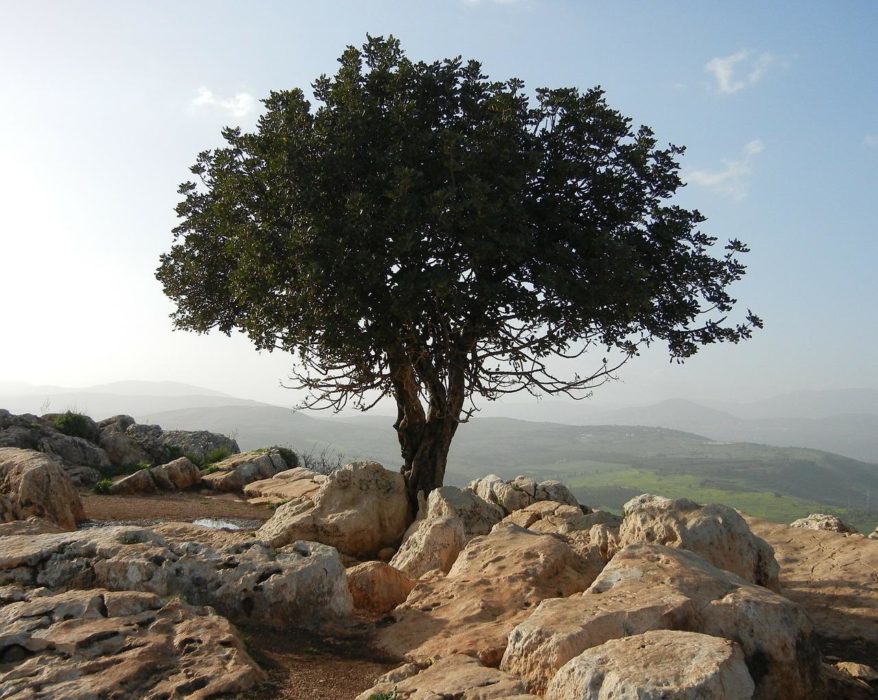 Día de la Tierra - Nasa