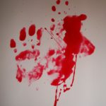 La mayor tasa de homicidio