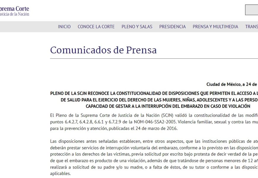 Interrupción del embarazo. Norma 046