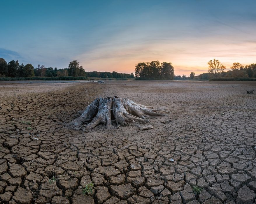 La sequía es inmensa