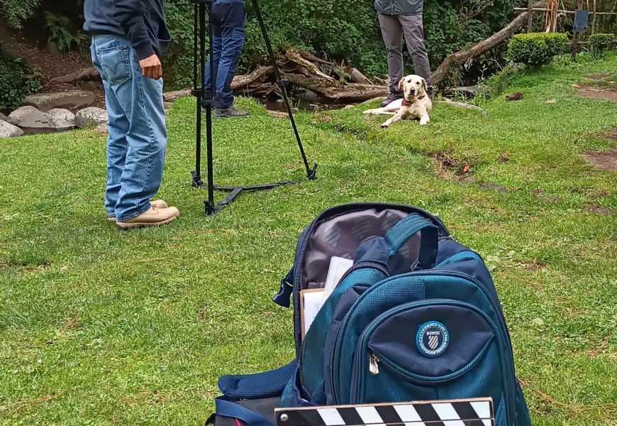 Río Magdalena - Los Dinamos