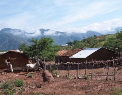 Día de la población, mundo rural