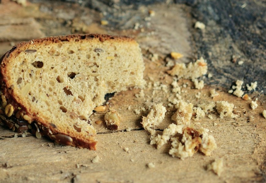 Conversatorio sobre el hambre