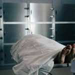 Desciende la mortalidad