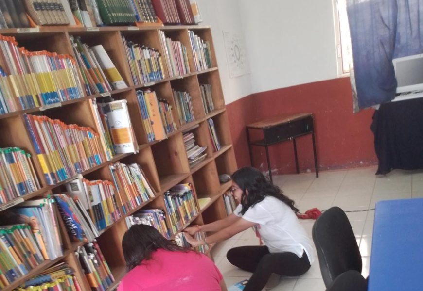 Devoradores de Libros