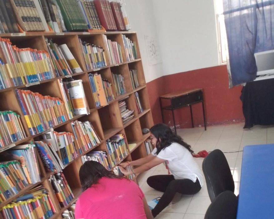 Devoradores de Libros