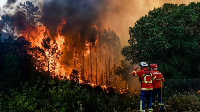 Los incendios forestales: ¿un riesgo subestimado?