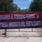 Programas sociales y estrategias políticas